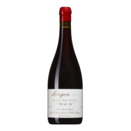 Magnum Morgon Cuvée Côte du Py 2019 Domaine Foillard - Beaujolais Wine - Buy Online Singapore